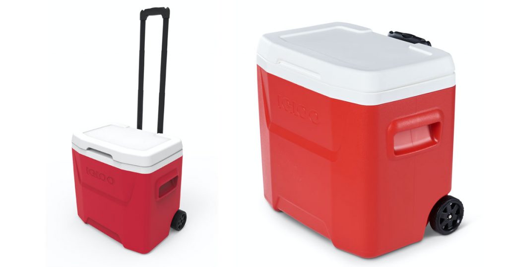 igloo qt cooler