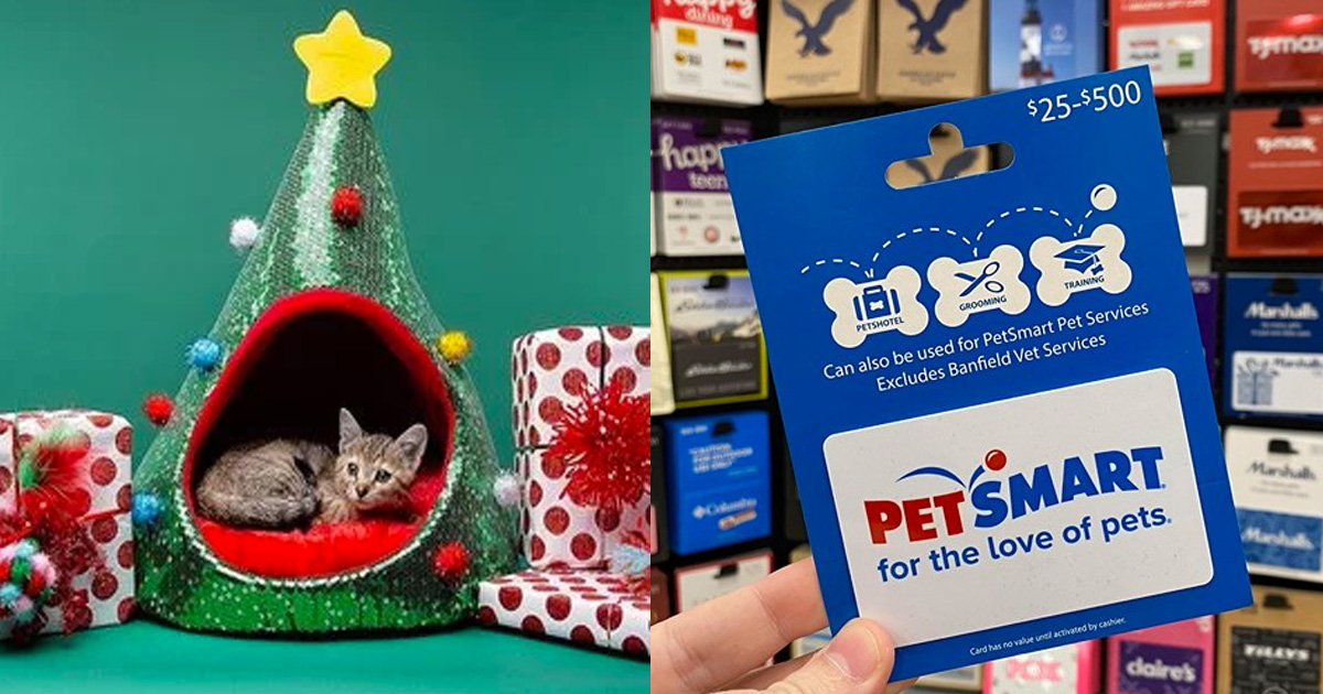 The PetSmart Holiday Pet Hut Sweepstakes The Freebie Guy Freebies