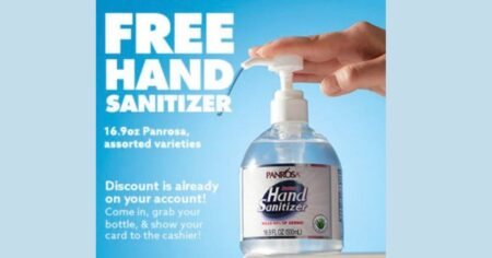 big lots sanitizer