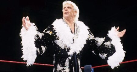 RIC FLAIR WWE SWEEP