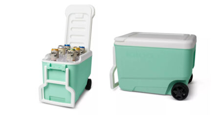 Igloo Cooler