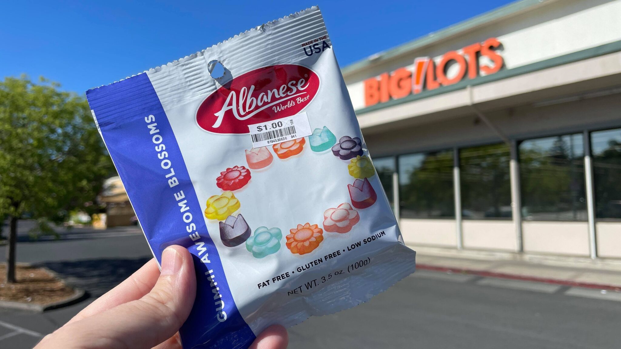 Free Albanese Gummies for Big Lots Rewards Members The Freebie Guy®
