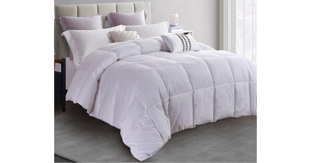 ZULILY WHITE 240THREAD CT. GOOSE FEATHER COMFORTER 49.99, SHIPPED