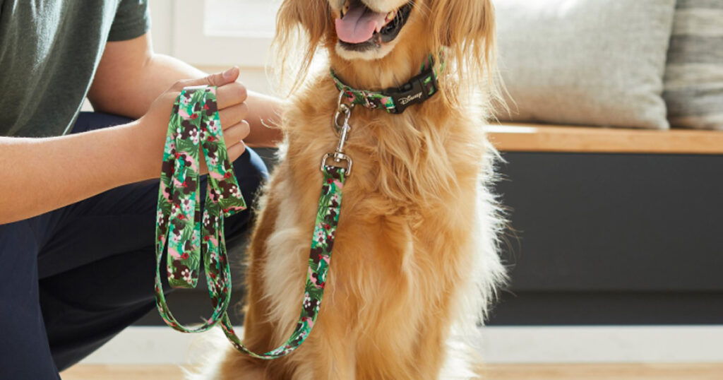 Disney Mickey Mouse Hawaiian Dog Leash