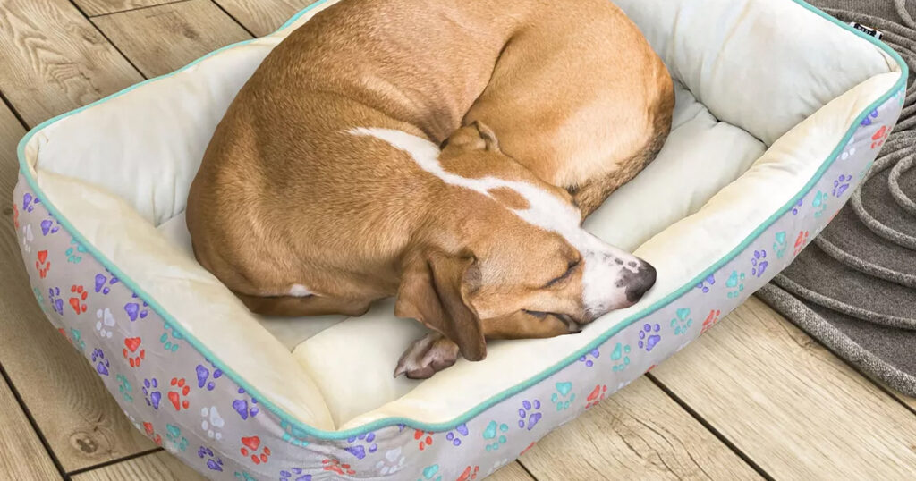 KOHL'S PET BEDS ONLY 13.59! The Freebie Guy®