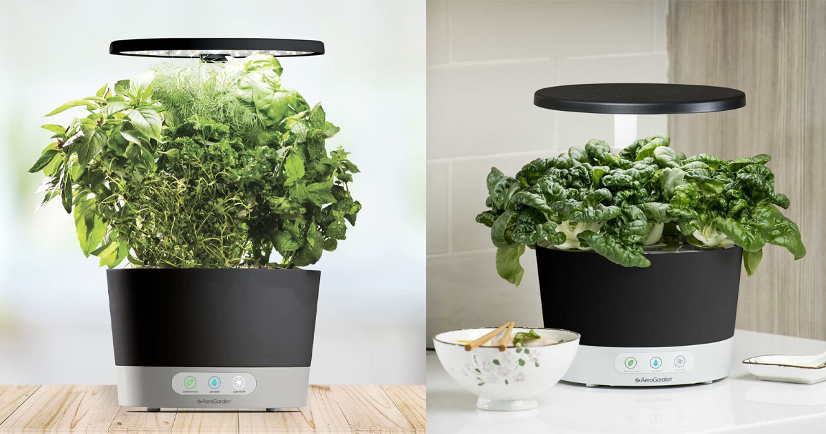 AEROGARDEN HARVEST