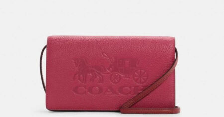 anna foldover clutch crossbody in colorblock with horse and carriage