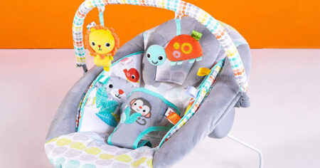 Bright Starts Whimsical Wild Cradling Bouncer Seat with Soothing Vibration Melodies