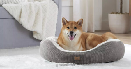 Koolaburra by UGG Dezi Sherpa Pet Bed