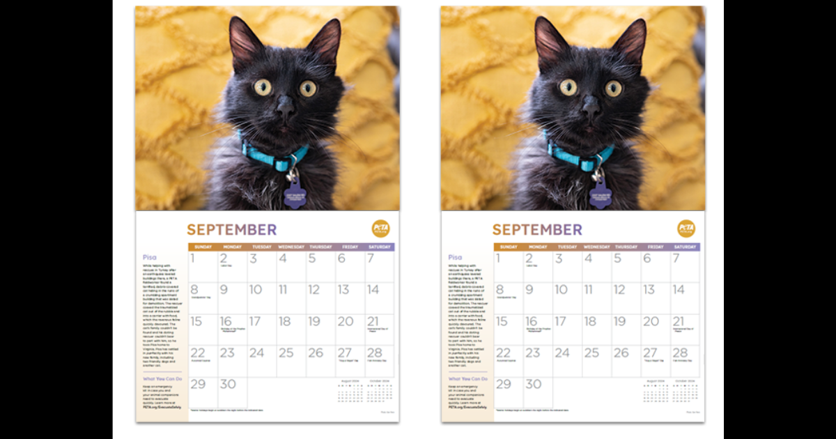 FREE ‘Rescued Calendar