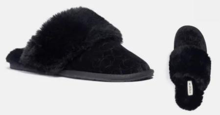 coach outlet zuri slippers