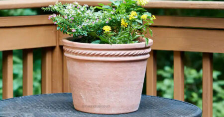 Michelle Large Terracotta Clay Planter
