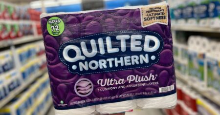 Quilted Northern Toilet Paper scaled