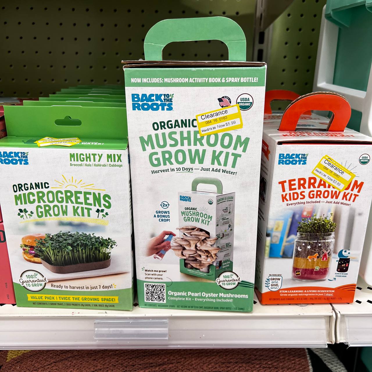 Target Clearance Patio
