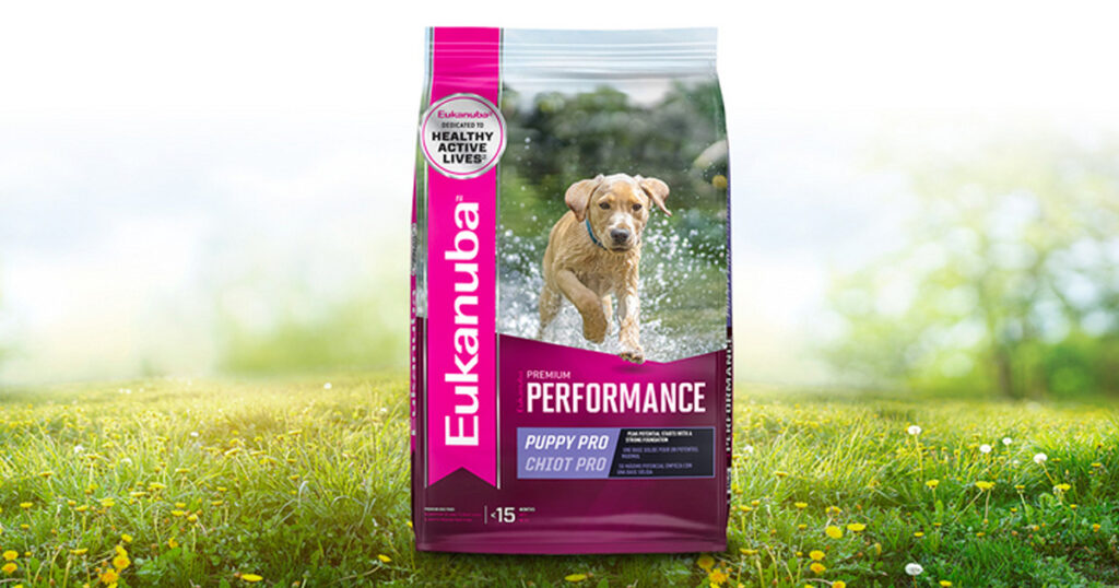 Legit Freebies & All the Best Free Samples The Freebie Guy®