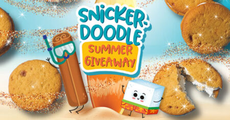 little debbie snickerdoodle summer