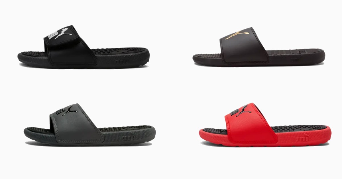 PUMA Slides