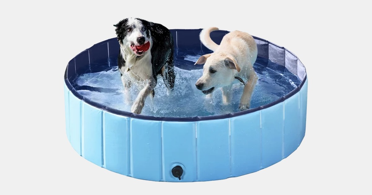 Pet Pool