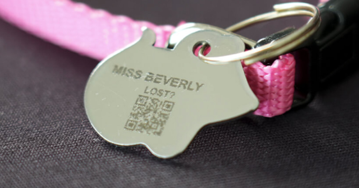 Free Tabby ID Tag The Freebie Guy® ️️️