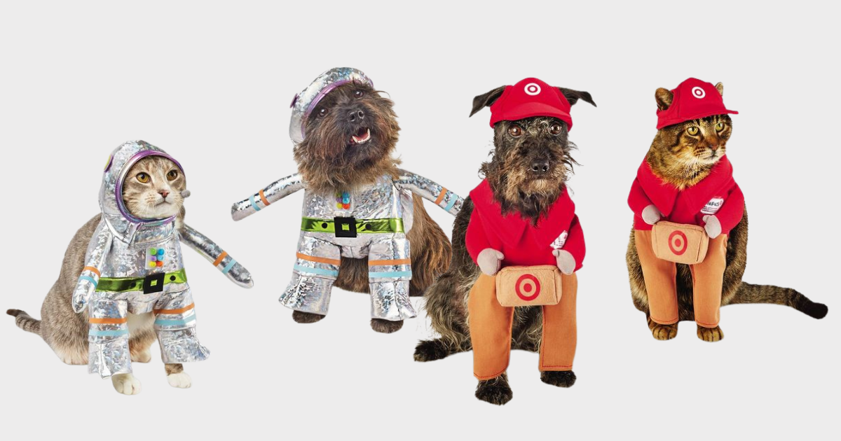 🎃 2023 Halloween Pet Shop: Treats, Costumes & Toys