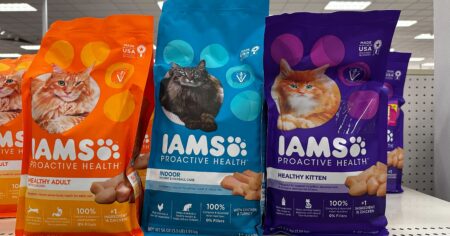 iams pet food scaled