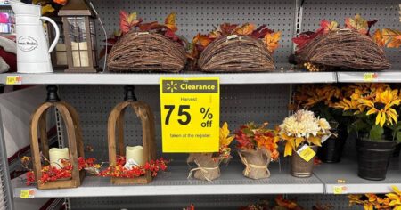 Walmart Fall Clearance