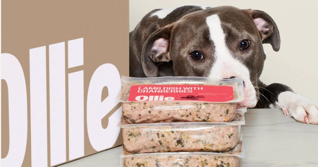 Ollie Fresh Dog Food Deal 60 Off Your First Starter Box (2Week