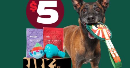 super chewer bark box