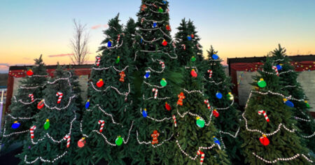 balsam hill legoland