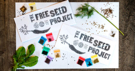 Seed Project 450x236 
