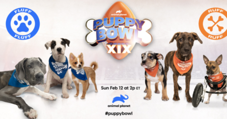 Arm Hammer Slide Kitty Halftime Sweepstakes