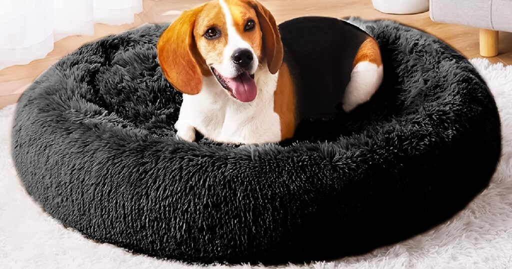 Walmart Dog Bed Clearance Save Up To 75 The Freebie Guy walmart-dog-bed-clearance-save-up-to-75-the-freebie-guy