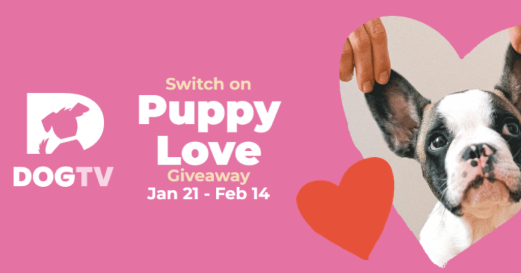 DOGTV Puppy Love Giveaway