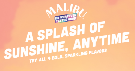 Malibu Splash House Contest