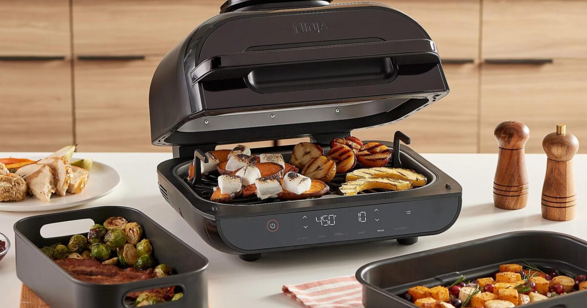 QVC Ninja Foodi Smart XL 6in1 Indoor Grill & Air Fryer w/ Combo