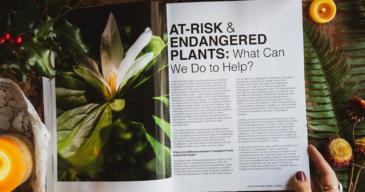 Free Mountain Rose Herbs Journal + Catalog The Freebie Guy® ️️️