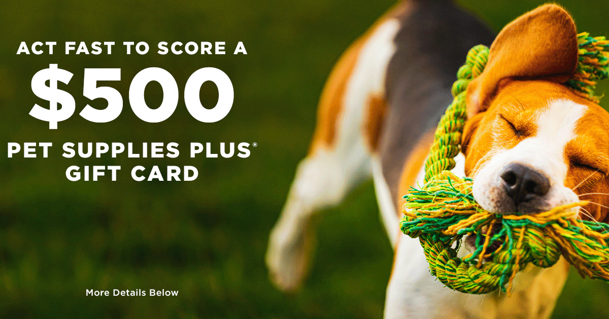 Pet Supplies Plus Quikly Giveaway The Freebie Guy® ️️️