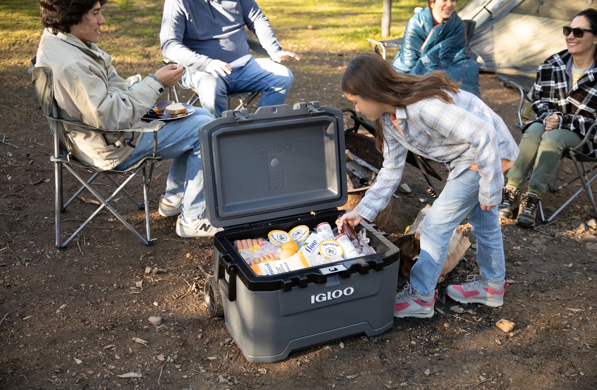 Up To 50% Off Igloo Coolers At Walmart - Prices From $12.99 - The ...