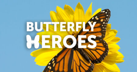 butterfly heroes