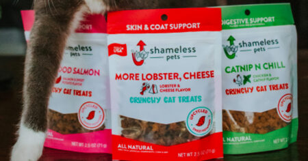 shameless cat treats