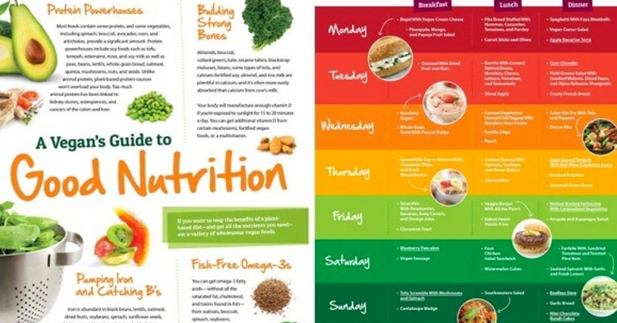 FREE Vegan Starter Kit - The Freebie Guy® ️️️