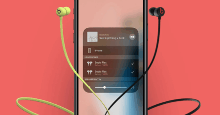 Beats Flex Headphones