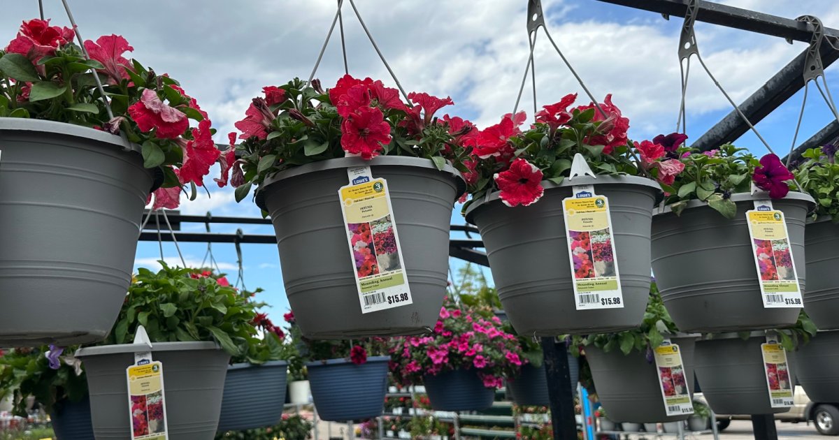 Lowe’s July 4th Sale is Live Hanging Plants, Grills, & More The