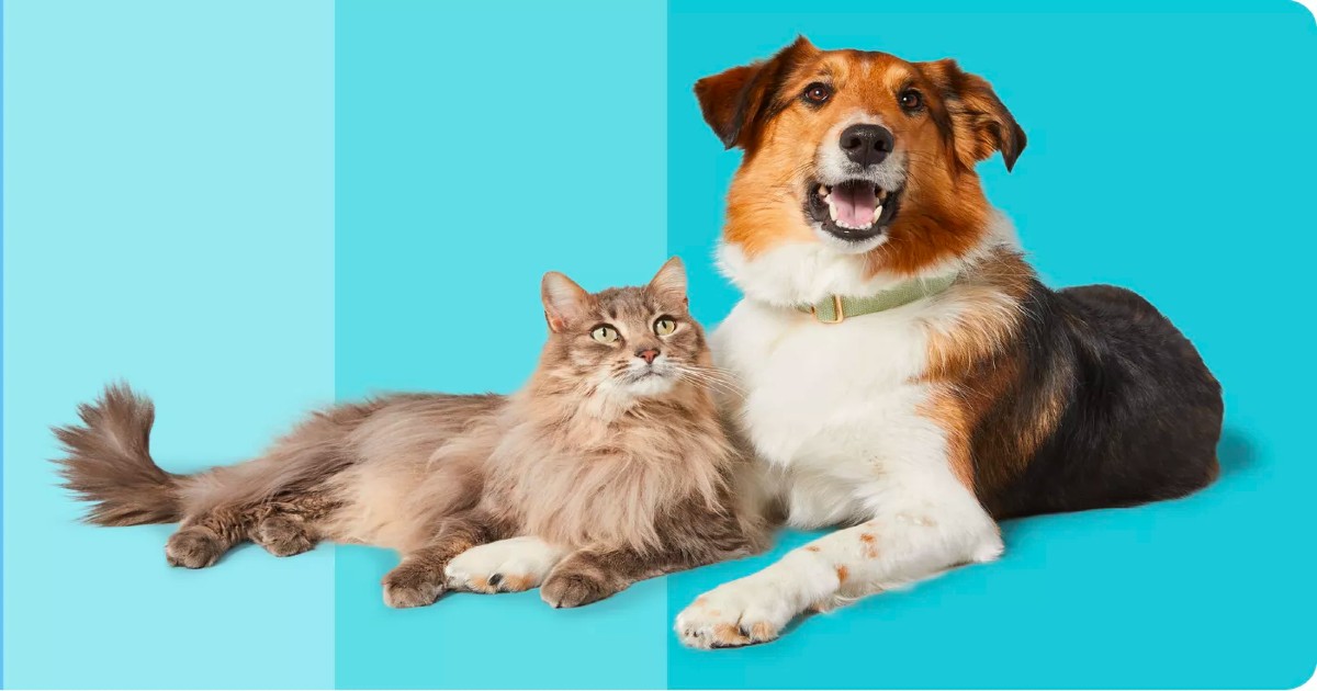 National Pet Month at Target Free 5 Target GiftCard when you buy 2