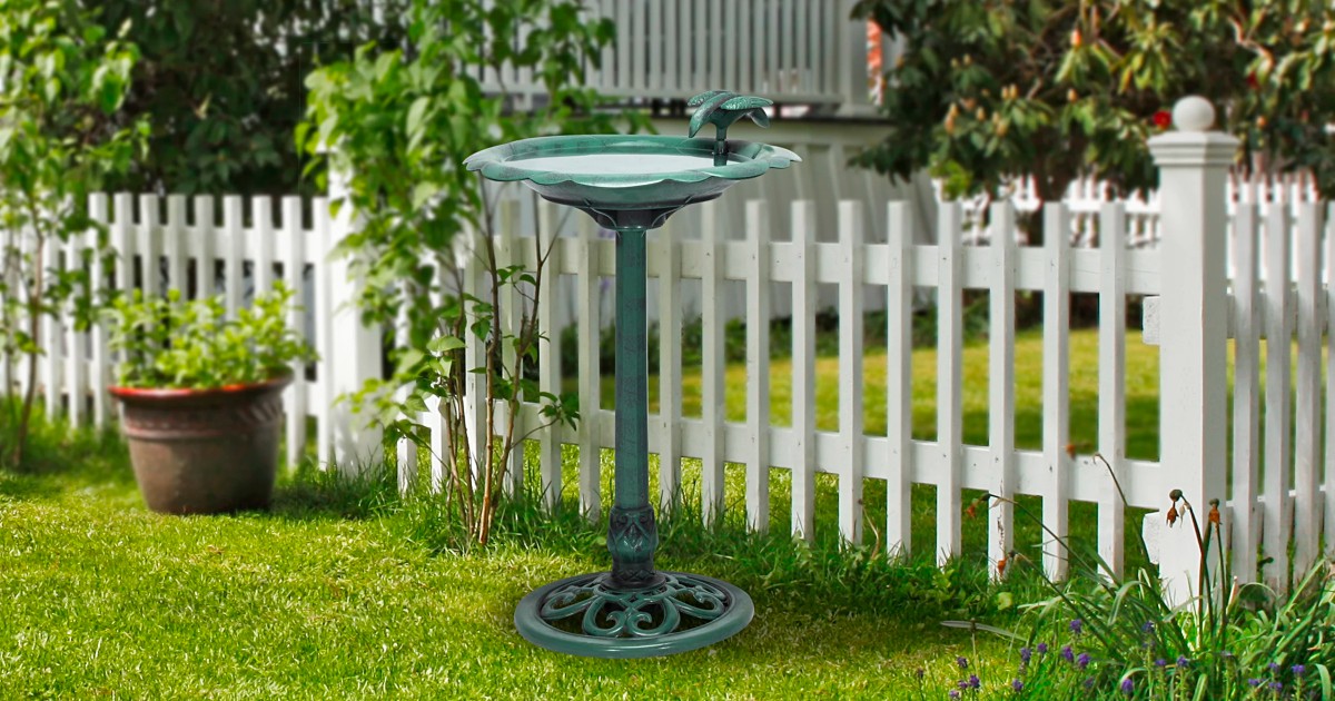 alpine bird bath