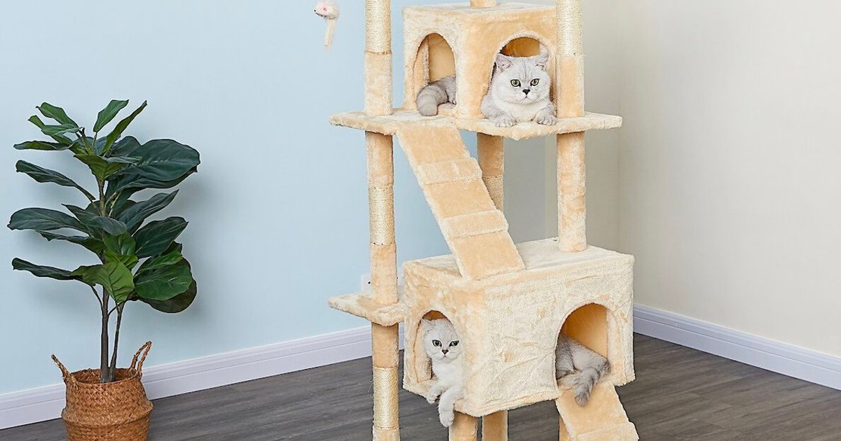 cat tree