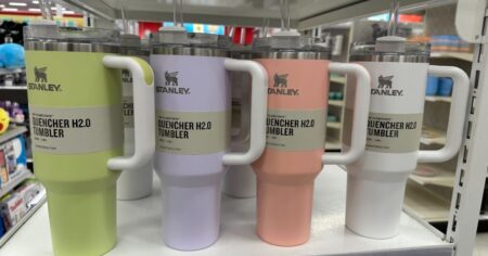 Target Stanley Quencher