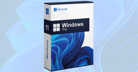 windows pro