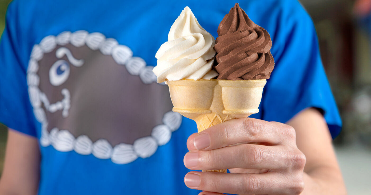 Buy One, Get One Free Carvel SoftServe Today Only The Freebie Guy® ️️️