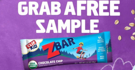 clif kid chocolate chip